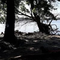 Riverfront Park / Goose Landing ico