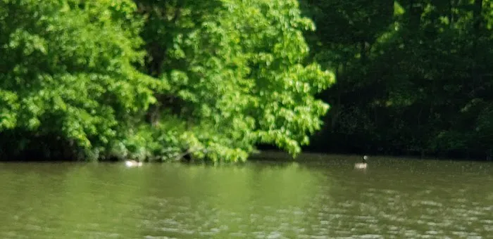 Greenfield Rives Lake Camping Picture 1