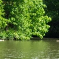Greenfield Rives Lake Camping ico