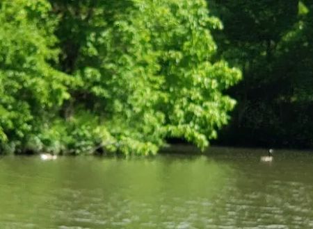 Greenfield Rives Lake Camping