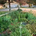 Deer Ridge Campground