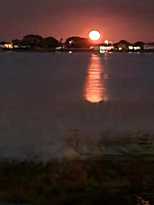 Dinner lake Haven Mobile Home Park Picture 4
