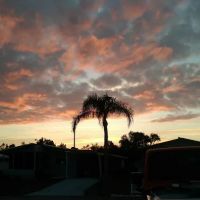 Sebring Mobile Estates ico
