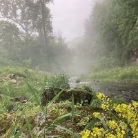 Little Paint Campground ico