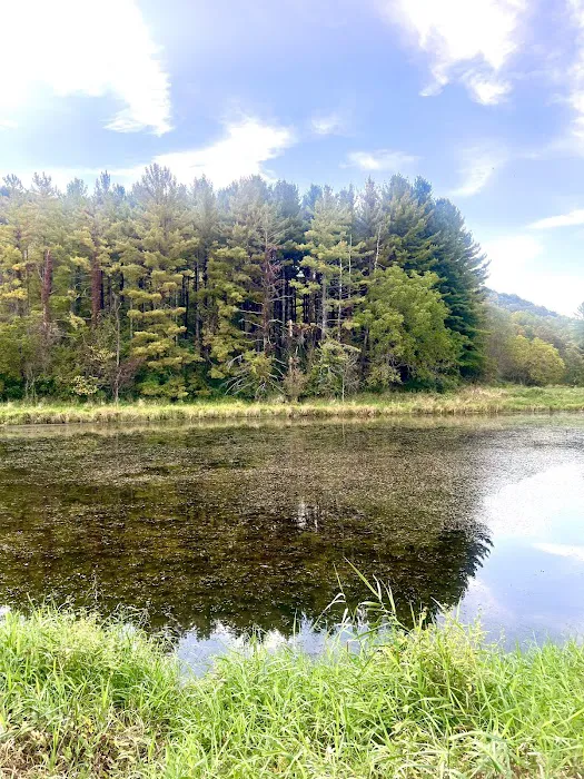 Little Paint Campground Picture 10