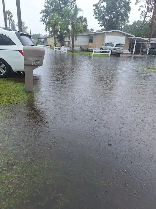 Eastwood Estates Picture 3