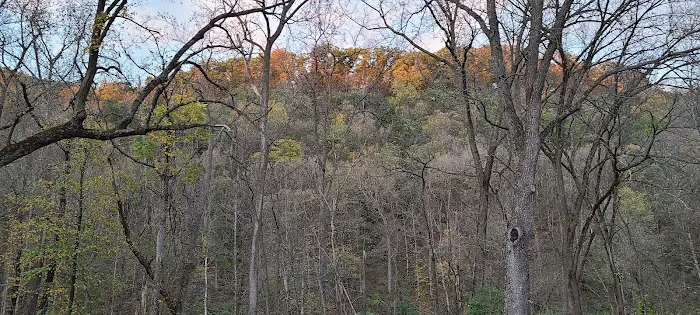Big Paint Campground Picture 3