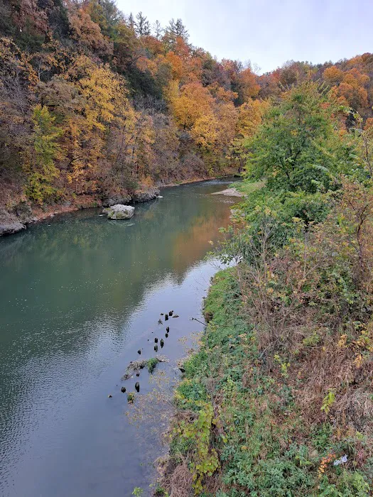 Scenic View Campground Picture 4