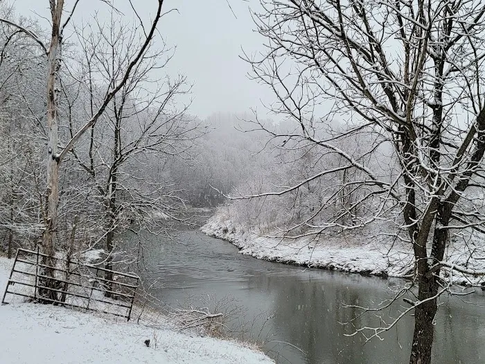 Scenic View Campground Picture 9