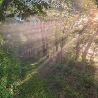 Gilbertson Park ico