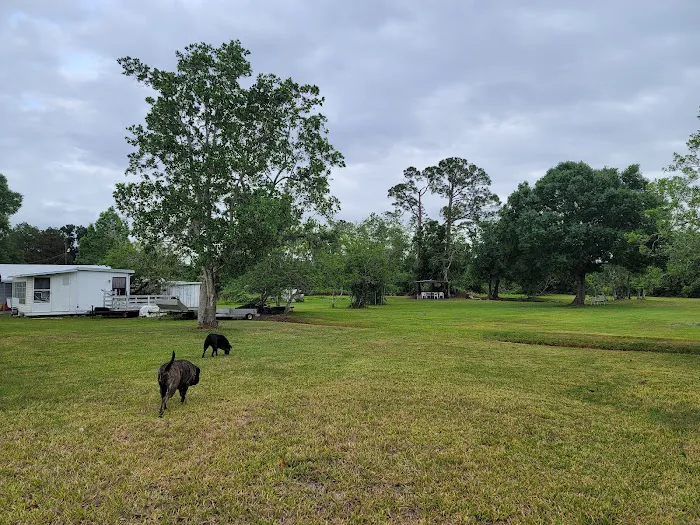 Sebring Gardens RV Park Picture 1