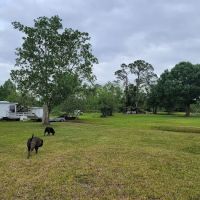 Sebring Gardens RV Park ico