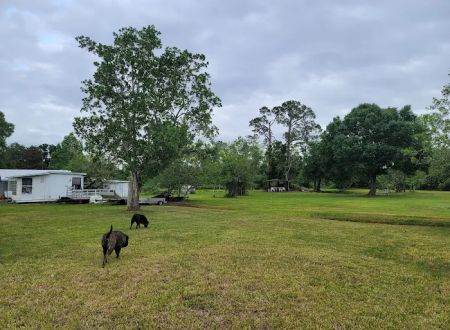 Sebring Gardens RV Park
