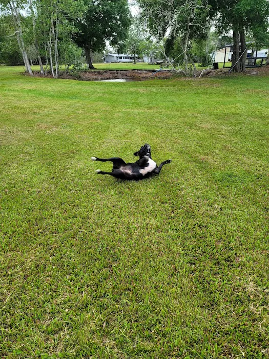 Sebring Gardens RV Park Picture 2