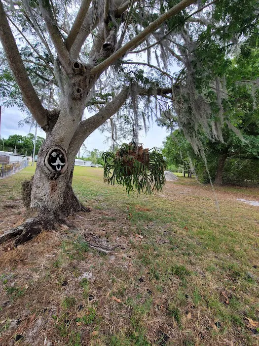 Sebring Gardens RV Park Picture 3