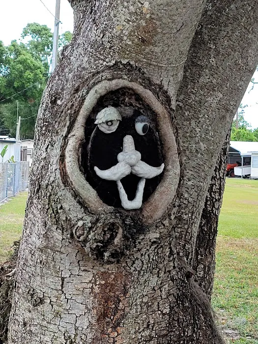 Sebring Gardens RV Park Picture 8