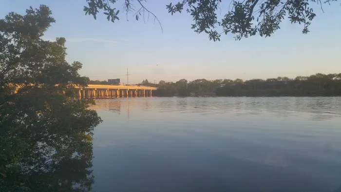 Palm River RV Park Picture 3