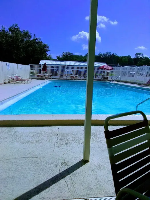 Paradise Village Tampa Picture 8