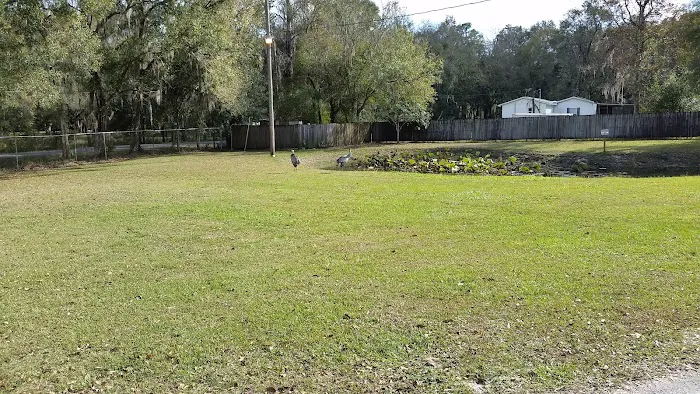River Palm RV Resort Picture 5