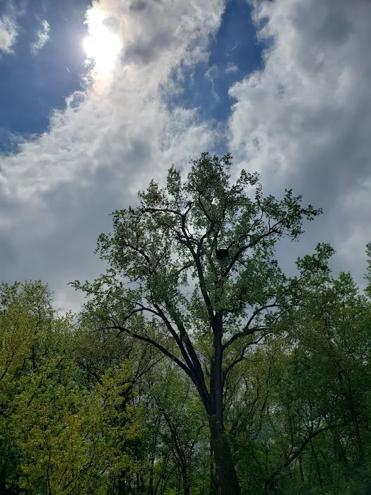 Klocks Island Park Campground Picture 6