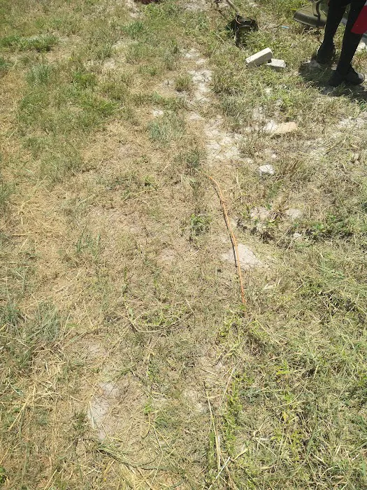 Colony Club Mobile Home Pk Picture 7