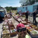 Colony Club Mobile Home Pk