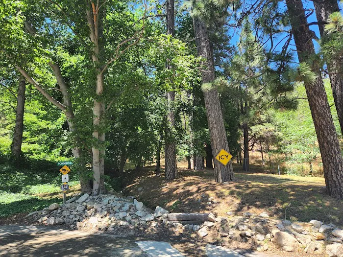 Tall Pines Picture 4
