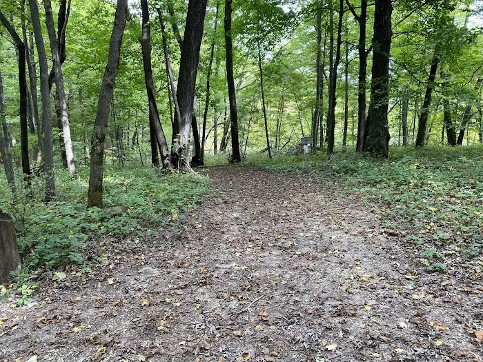 Duttons Cave Campground Picture 6