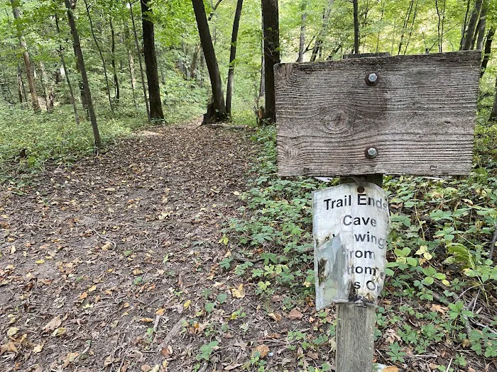 Duttons Cave Campground Picture 8