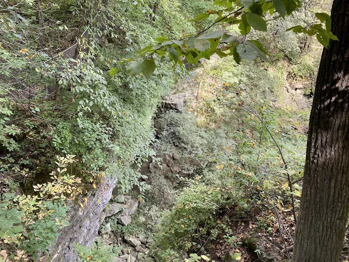Duttons Cave Campground Picture 9
