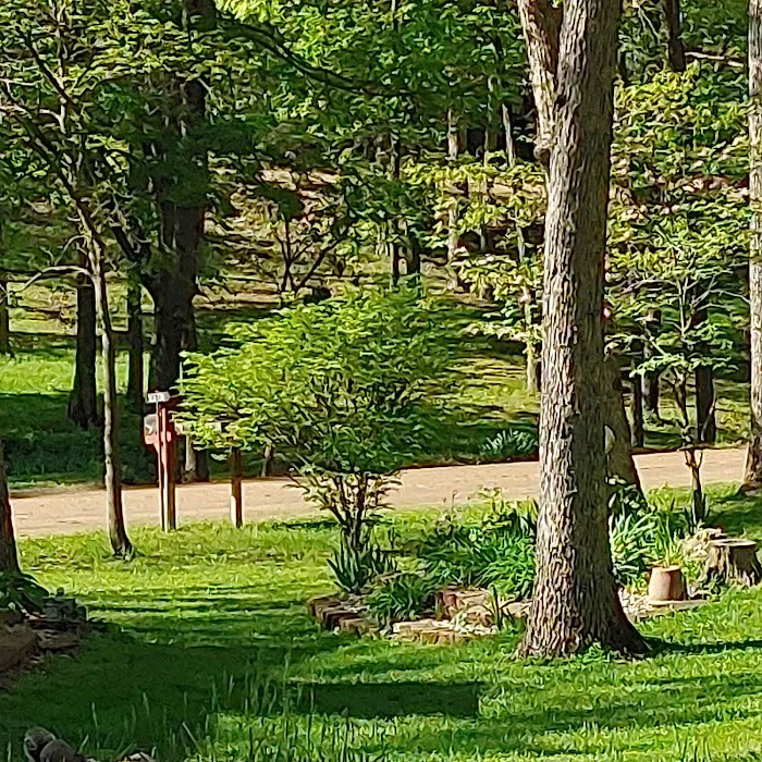 Lakewood Mobile Home Community Picture 4