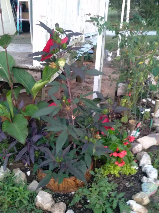 Avery Mobile Home Park Picture 3