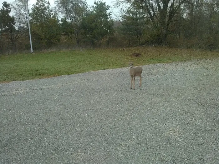 Mayview RV Park Picture 9