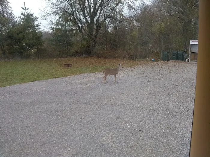 Mayview RV Park Picture 10
