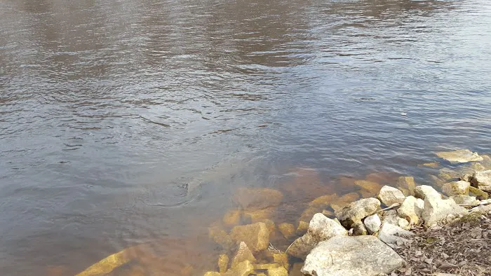 Wolf River Trips & Campground Picture 7