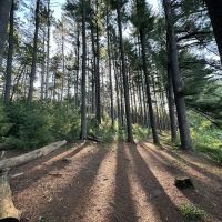 Hartman Creek State Park Family Campground ico