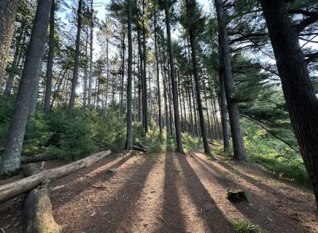 Hartman Creek State Park Family Campground