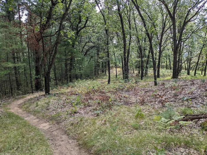 Hartman Creek Group Campground Picture 9
