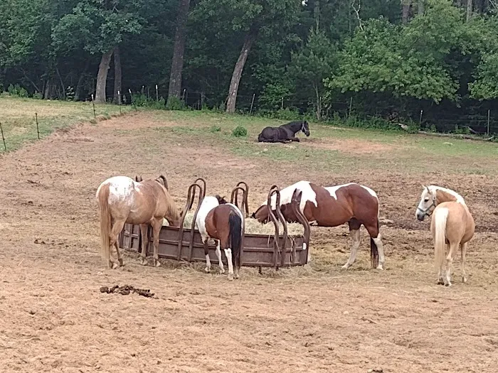 Wild West Campground and Corral Picture 5