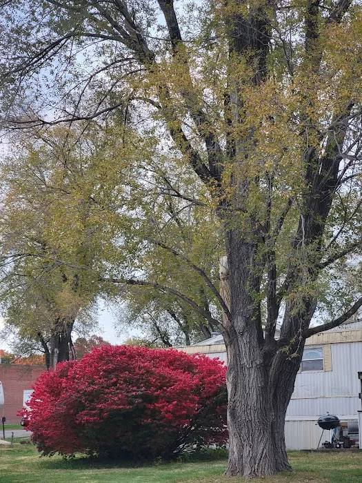 Plaza Acres Court Picture 3