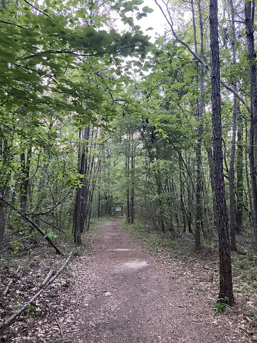 Swayback Campground Picture 7