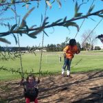 Cherrywoods Mobile Home Park