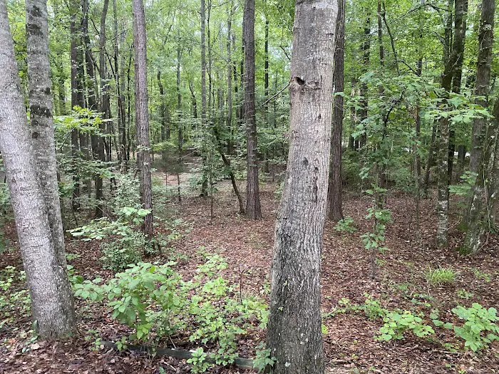 Chewacla State Park Campground Picture 10