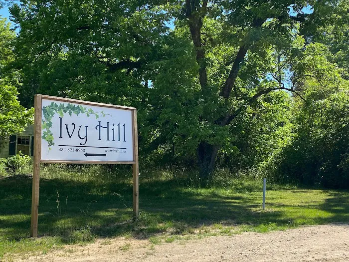 Ivy Hill Picture 8