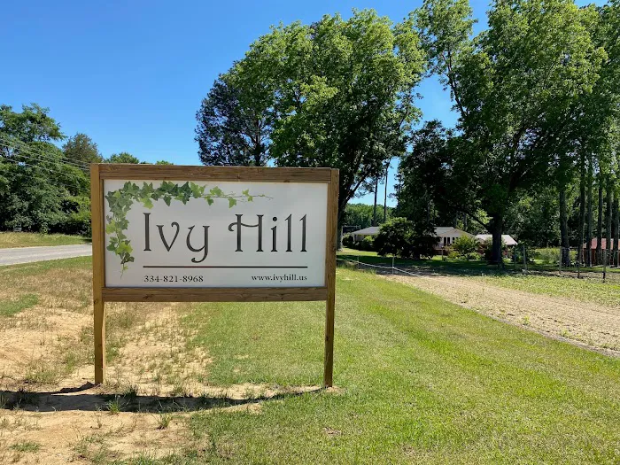 Ivy Hill Picture 6