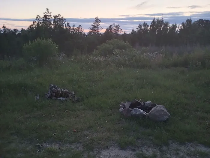 Tuskegee National Forest Campsite #8 Picture 4