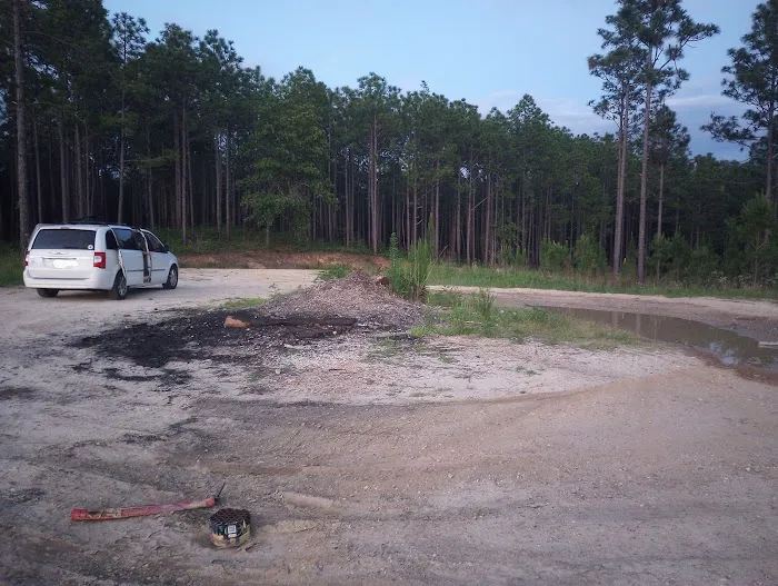 Tuskegee National Forest Campsite #8 Picture 8