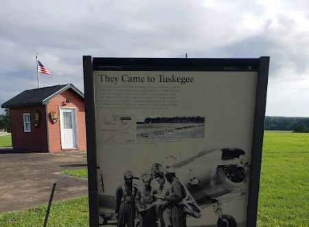 Tuskegee National Forest Campsite #8