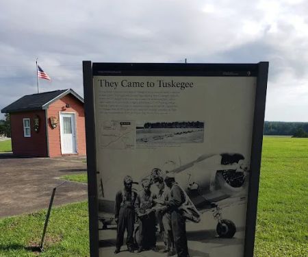 Tuskegee National Forest Campsite #8