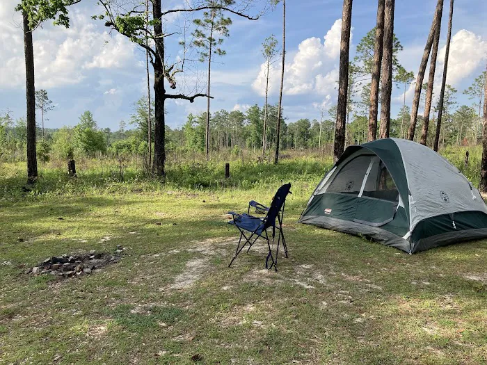 Tuskegee National Forest Campsite #8 Picture 7